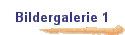 Bildergalerie 1