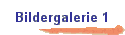 Bildergalerie 1