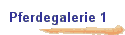 Pferdegalerie 1  