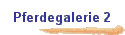Pferdegalerie 2