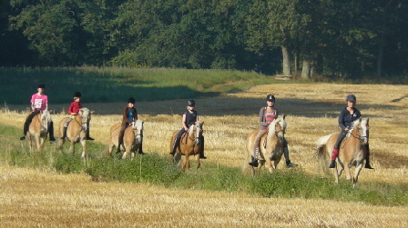 Haflinger-Ausritt durch die Clenzer Schweiz