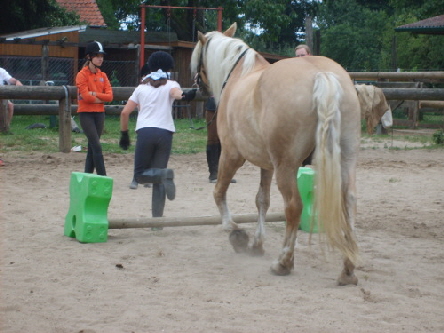 .... schnell ins Ziel !