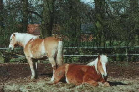 .... wir m�ssen auch mal Pause machen !