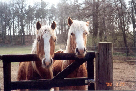 ....wir warten schon.....