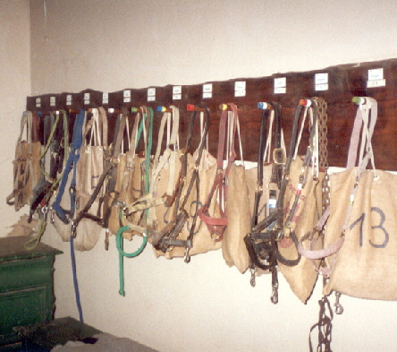 Halfter und Putzzeug