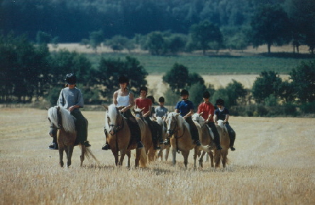 ....ein Ausritt durch die "Clenzer Schweiz"