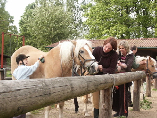 Hilfe beim Putzen und Trensen